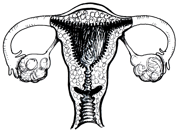 QGEN - Endokrinologie